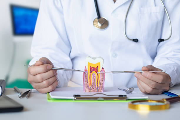 Best Emergency Dental Services for Seniors in Blythewood, SC